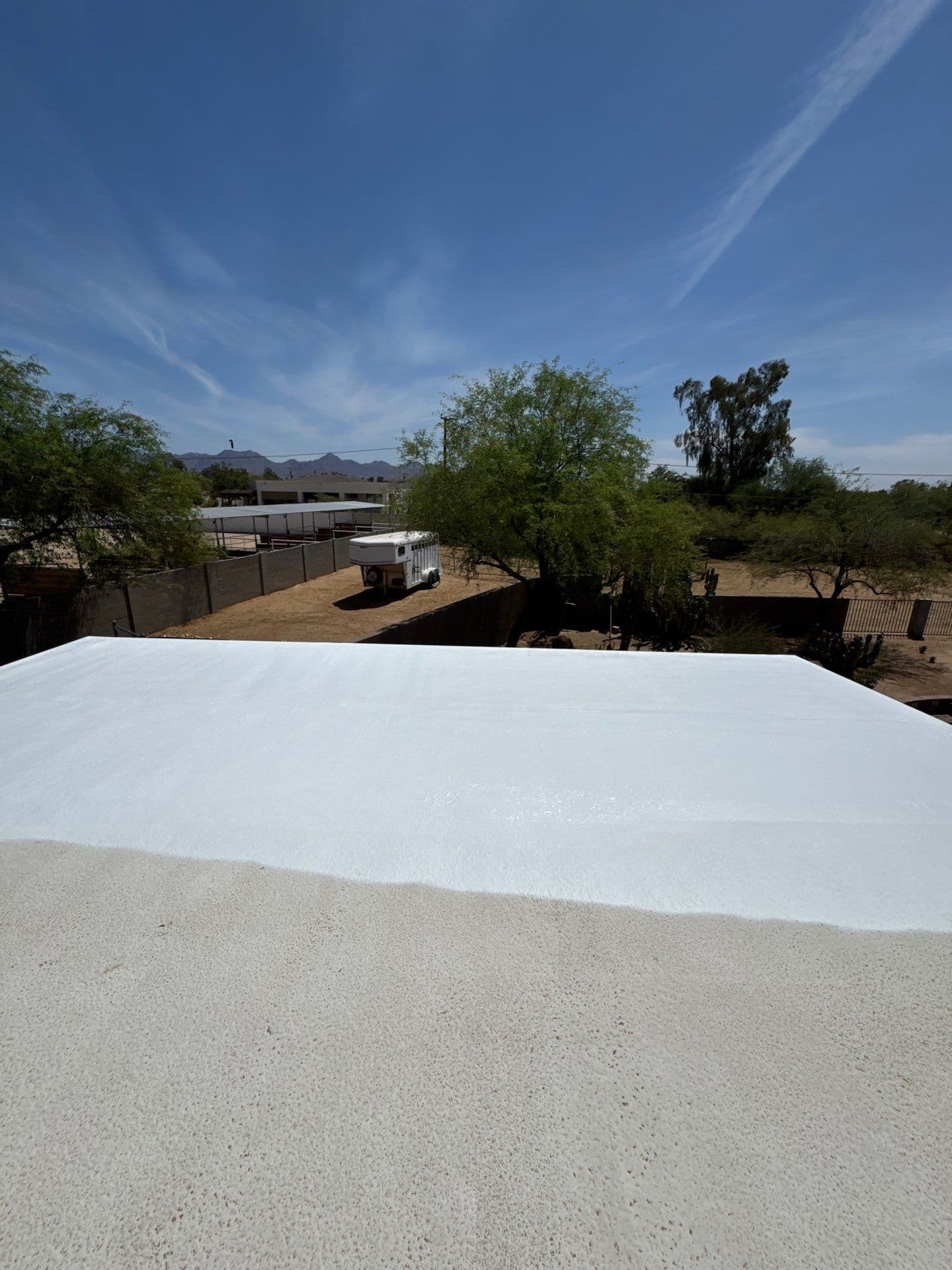 foam roof coating